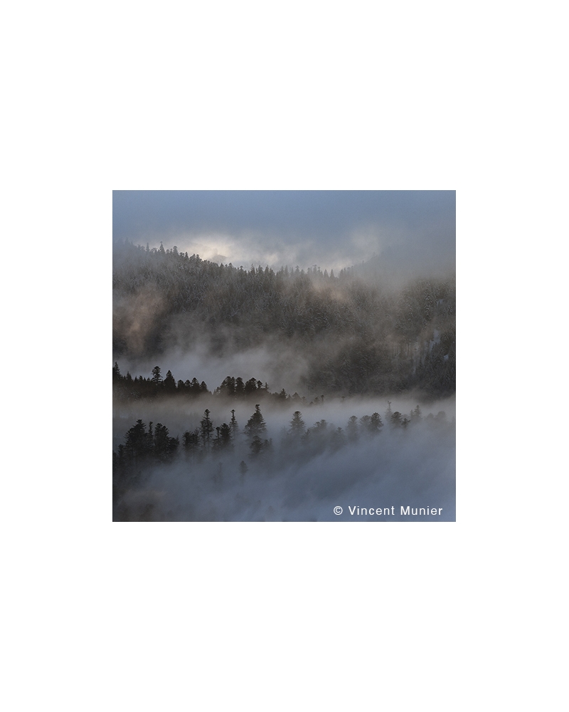 VMFR-BD293 Paysage Vosgien dans la brume