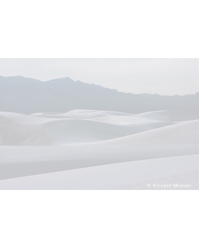 VMMO313 White Sands